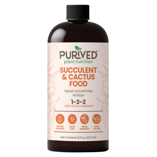 dr. q's cactus & desert plant fertilizer Purived Succulent & Cactus Food