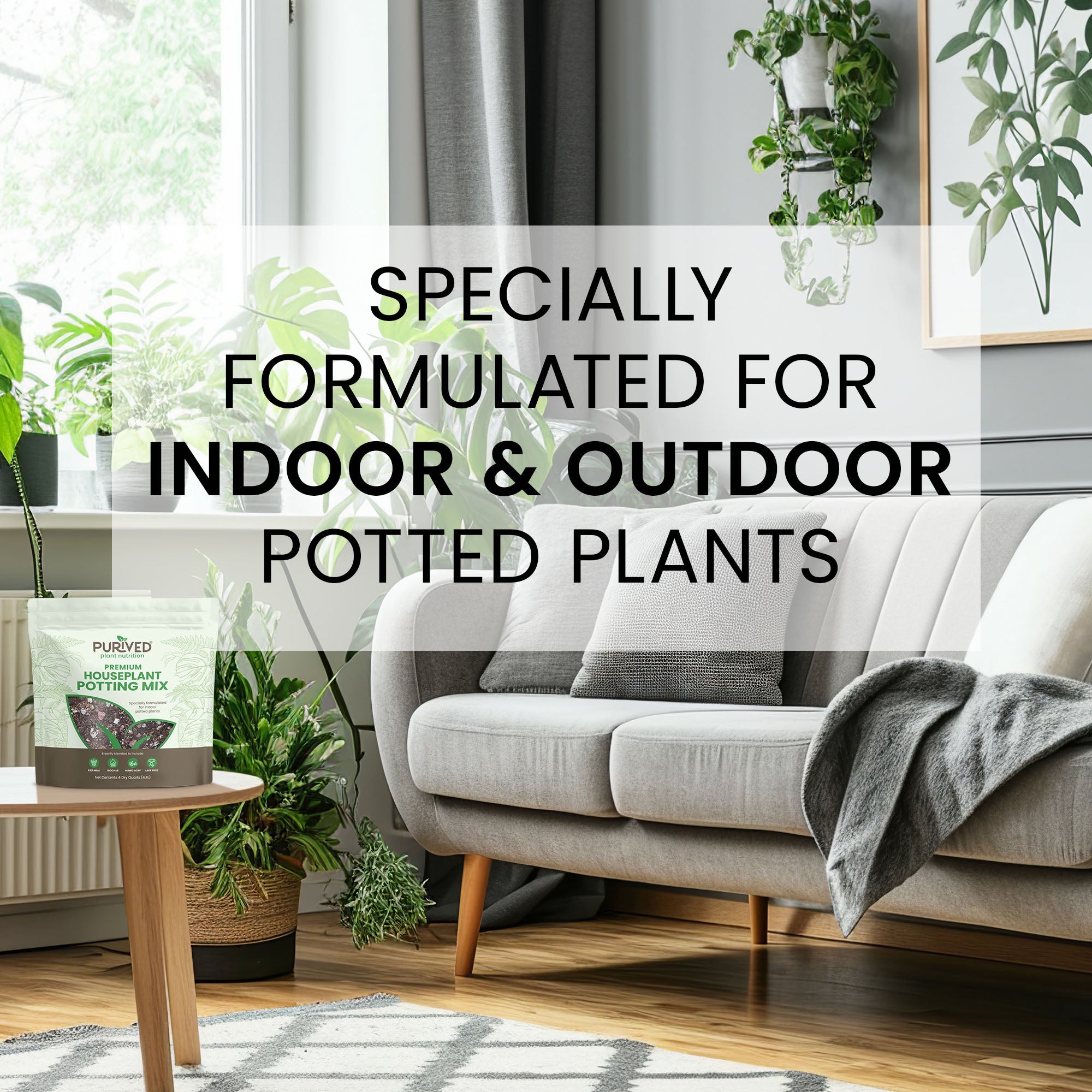 indoor potting mix vs outdoor Purived Premium Houseplant Potting Mix | 4 Quarts | Ideal Soil Drainage & Moisture Retention for Indoor Potted Plants